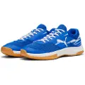 Puma Varion II Handball Shoes, Shoes, Royal/White/Gum, 42