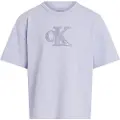 Calvin Klein Jeans Metallic T-shirt Med Korte ærmer