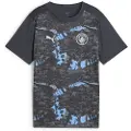 Puma Manchester City Pre-match Jersey Youth, Clothing, Strongray/Cool Light Gray, 7-8Y