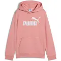 Puma Ess Nº1 Logo Hættetrøje