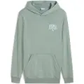 Puma Class Regular Fit Hættetrøje