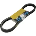 DAYCO Suzuki Epicuro 150 Drivrem