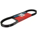 DAYCO Aprilia Sonic/gp Lc 50 Drivrem