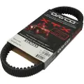 DAYCO Yamaha Rhino 660 Drivrem