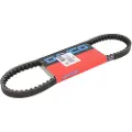 DAYCO Italjet Bazooka 50 Drivrem
