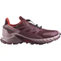 Salomon Supercross 4 Goretex Trailsko