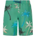 Protest Brandon Badeshorts