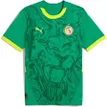 Puma Senegal 2025 Away Jersey Men, Clothing, Sport Green/Electric Lime, XS