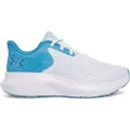 Under Armour Charged Rogue 5 Løbesko