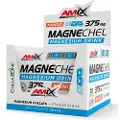 Amix Magnechel Magnesium Chelate 375mg Engangsdosisboks Til Energidrik 20 Enheder