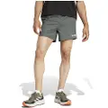Adidas Terrex Multi Light 5´´ Shorts