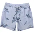 Salty Crew Flyer Volley Boardshorts blå