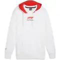Puma F1 Graphic Hættetrøje