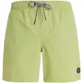 Protest Faster Badeshorts