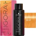 Schwarzkopf Igora Vibrance Color Ammonia-Free - 60ml