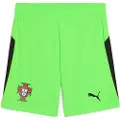Puma Portugal 24/25 Replica Målmand Hjem Shorts