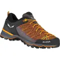 Salewa Mtn Trainer Lite Tilgangssko
