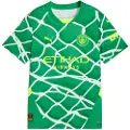 Puma Manchester City 24/25 Goalkeeper Jersey Youth, Clothing, Grassy Green/Yellow Alert, 9-10Y