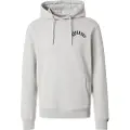 Superdry Athletic Ess Hættetrøje