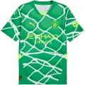 Puma Manchester City 24/25 Goalkeeper Jersey Men, Sport, Grassy Green/Yellow Alert, XXL