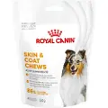 Royal Canin Skin & Coat Adult tyggesnacks - 240 g