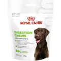 Royal Canin Digestion Supplements Chews Hund - 160 gram