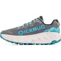 Icebug Arcus 2 Rb9x Gtx Vandresko