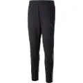 Puma Casual Teamcup Sportsbukser