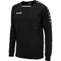 Hummel Authentic Training Sweatshirt