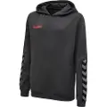 Hummel Authentic Hættetrøje