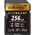EXASCEND Sd Uhs-ii V60 Catalyst 256gb Hukommelseskort