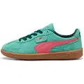 Puma Palermo Sko