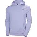 Helly Hansen Core Graphic Hættetrøje