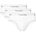 Calvin Klein Lv00nb4388 Briefs