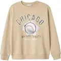 Name it Regular Fit Sweatshirt