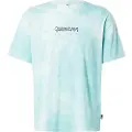 Quiksilver Td Frog Ritual T-shirt Med Korte ærmer