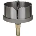 Bosch Savkrans