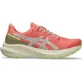 Asics Gt 1000 13 Tr Løbesko