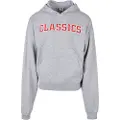 Urban Classics Classics College Hættetrøje