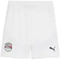 Puma Egypt 2025 Shorts Men, Sport, White/Black, XXL