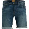 Jack & Jones Shorts Jack & Jones JJIRICK herre EU L