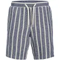 Jack & Jones Jaiden Coba Shorts