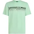 O'Neill Stripe T-shirt Med Korte ærmer