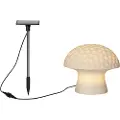 Star Trading - Solcelledekoration Sandy 15 cm - Hvid - Dekorationsbelysning - - Homeroom