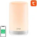 Gosund Rgb Wifi Lb3 Tuya Natlys