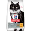 Hill's Pet Nutrition Mature Adult 7+ Sterilised Cat kylling kattefoder
