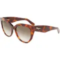 Ferragamo Sf1061s-240 Solbriller Til Kvinder