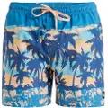 Quiksilver Everyday Straight Volley 15´´ Badeshorts