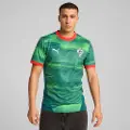 Puma Portugal Esports Jersey Men, Clothing, Blessing Green, M