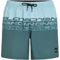O'Neill Cali Stripe 16´´ Badeshorts